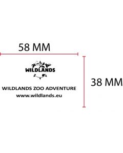 Stempelplatte für Colop Printer 55 | 58x38mm
