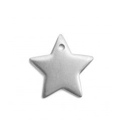Tin Pendants | Star | 24 mm | ImpressArt