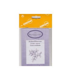 Hobbyring | Advanced Pyrography Course