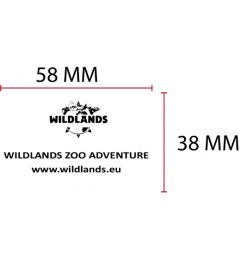 Beispiel Stempelplatte für Colop Printer 55 | 58x38mm