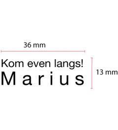 Stamp Plate Trodat Printy 4911