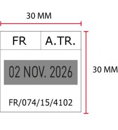 Beispiel Stempelplatte für Colop Printer Q30D mit Datum | 30x30mm